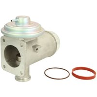 AGR Ventil DELPHI EG10466-12B1 von Delphi