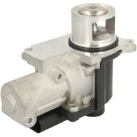 AGR Ventil DELPHI EG10471-12B1 AGR Ventil DELPHI EG10471-12B1 von Delphi