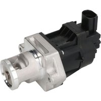 AGR Ventil DELPHI EG10478 AGR Ventil DELPHI EG10478 von Delphi