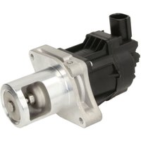 AGR Ventil DELPHI EG10479-12B1 AGR Ventil DELPHI EG10479-12B1 von Delphi