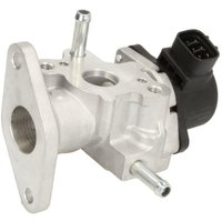 AGR Ventil DELPHI EG10483-12B1 AGR Ventil DELPHI EG10483-12B1 von Delphi
