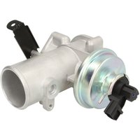 AGR Ventil DELPHI EG10492 AGR Ventil DELPHI EG10492 von Delphi