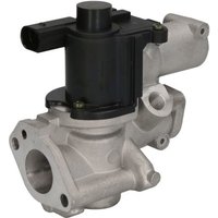 AGR Ventil DELPHI EG10509-12B1 AGR Ventil DELPHI EG10509-12B1 von Delphi