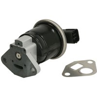 AGR Ventil DELPHI EG10519-12B1 AGR Ventil DELPHI EG10519-12B1 von Delphi