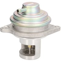 AGR Ventil DELPHI EG10525 AGR Ventil DELPHI EG10525 von Delphi