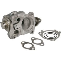 AGR Ventil DELPHI EG10527-12B1 AGR Ventil DELPHI EG10527-12B1 von Delphi