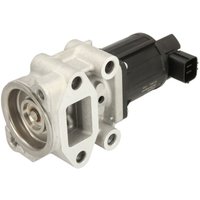 AGR Ventil DELPHI EG10543-12B1 AGR Ventil DELPHI EG10543-12B1 von Delphi