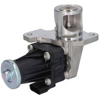 AGR Ventil DELPHI EG10553-12B1 AGR Ventil DELPHI EG10553-12B1 von Delphi