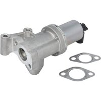 AGR Ventil DELPHI EG10609-12B1 AGR Ventil DELPHI EG10609-12B1 von Delphi