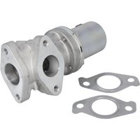 AGR Ventil DELPHI EG10618-12B1 AGR Ventil DELPHI EG10618-12B1 von Delphi