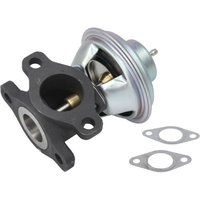 AGR Ventil DELPHI EG10623-12B1 AGR Ventil DELPHI EG10623-12B1 von Delphi