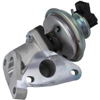 AGR Ventil DELPHI EG10625-12B1 AGR Ventil DELPHI EG10625-12B1 von Delphi