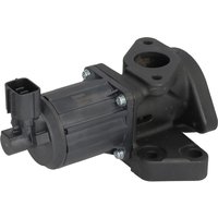 AGR Ventil DELPHI EG10637-12B1 AGR Ventil DELPHI EG10637-12B1 von Delphi