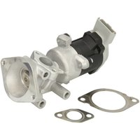 AGR Ventil DELPHI EG10640-12B1 AGR Ventil DELPHI EG10640-12B1 von Delphi