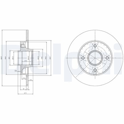 Delphi Bremsscheibe [Hersteller-Nr. BG9021RS] für Citroën, Peugeot von Delphi