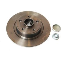 Bremsscheibe DELPHI BG9026RS hinten, voll, 1 Stück von Delphi
