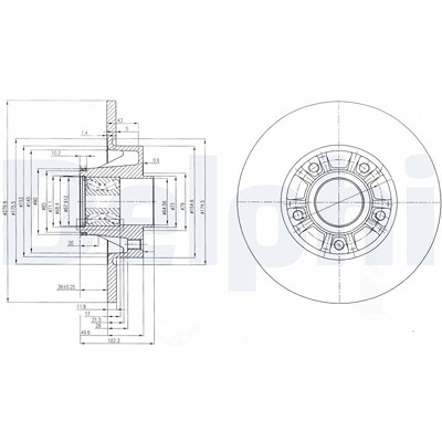 Delphi Bremsscheibe Hinterachse Voll mit Radlager [Hersteller-Nr. BG9031RS] für Nissan, Opel, Renault von Delphi