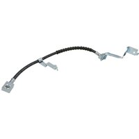 Bremsschlauch DELPHI LH6121, Links Bremsschlauch DELPHI LH6121, Links von Delphi