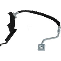 Bremsschlauch DELPHI LH6835, Links Bremsschlauch DELPHI LH6835, Links von Delphi