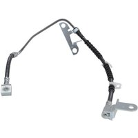 Bremsschlauch DELPHI LH6925, Rechts Bremsschlauch DELPHI LH6925, Rechts von Delphi