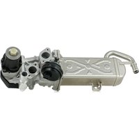 DELPHI AGR-Ventil Hochdruckseite EG10472-12B1 Abgasrückführungsventil,Abgasrückführung VW,AUDI,SKODA,GOLF VI (5K1),Polo Schrägheck (6R1, 6C1) von Delphi