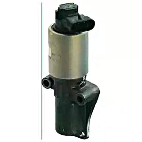 DELPHI EG10310-12B1 AGR-Ventil mit Dichtungen DELPHI EG10310-12B1 AGR-Ventil mit Dichtungen von Delphi