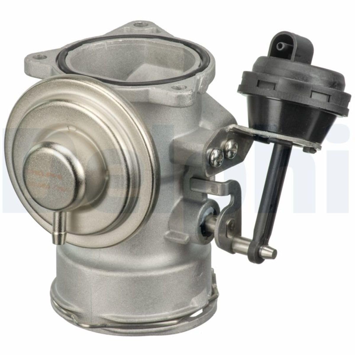 Delphi Agr-Ventil EG10409-12B1 Delphi Agr-Ventil EG10409-12B1 von Delphi