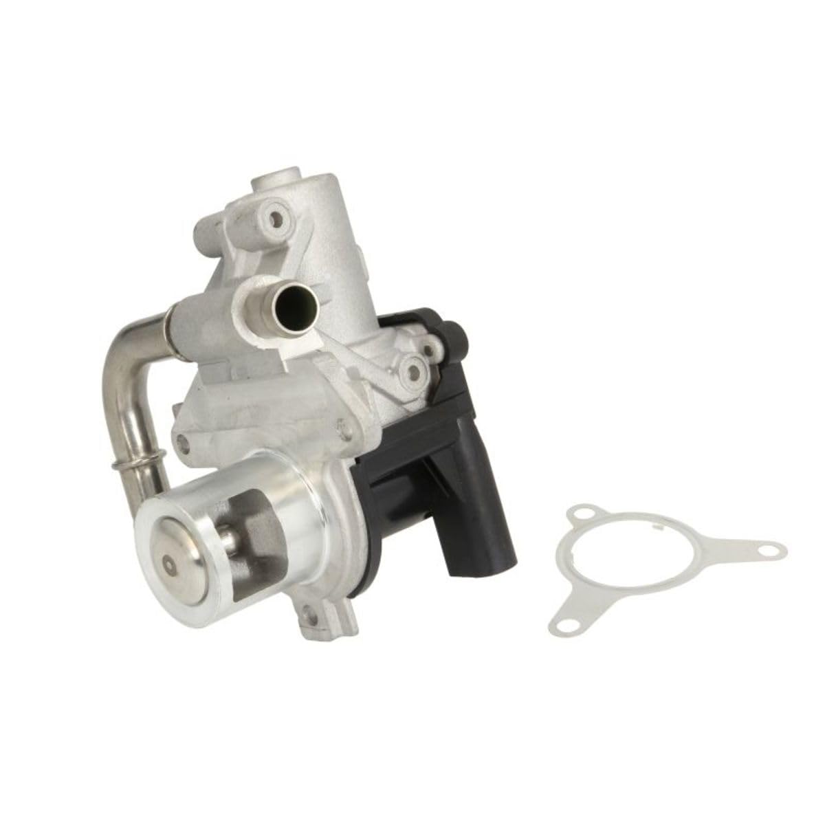Delphi Agr-Ventil EG10493-12B1 Delphi Agr-Ventil EG10493-12B1 von Delphi