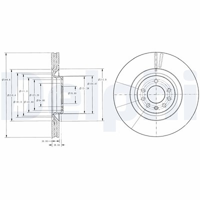 Delphi Bremsscheibe [Hersteller-Nr. BG9098] für Cadillac, Opel, Saab, Vauxhall von Delphi