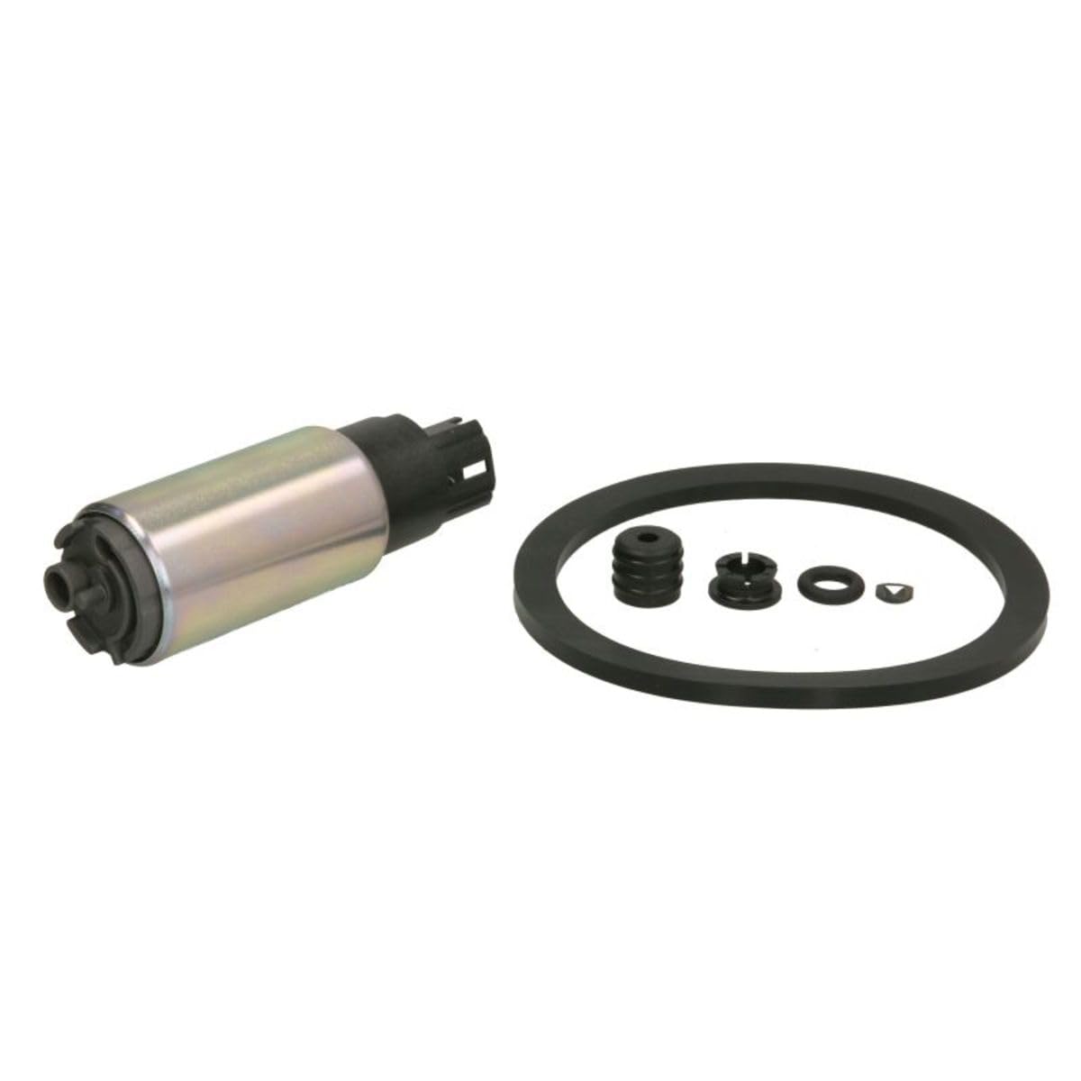 Delphi FE0545-12B1 - Kraftstoff-Fördereinheit Delphi FE0545-12B1 - Kraftstoff-Fördereinheit von Delphi