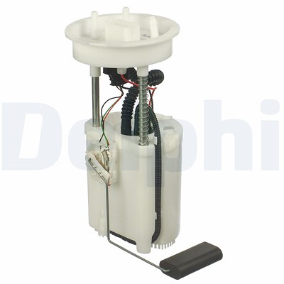 Delphi Kraftstoff-Fördereinheit [Hersteller-Nr. FG1455-12B1] für Audi, Seat, Skoda, VW von Delphi