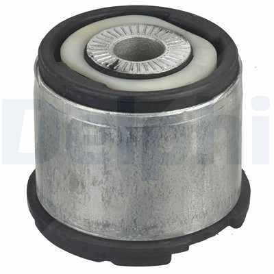Delphi Lagerung, Achskörper [Hersteller-Nr. TD1378W] für Audi, BMW, Seat von Delphi