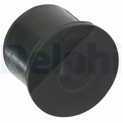 Delphi Lagerung, Blattfeder [Hersteller-Nr. TD1250W] für Nissan von Delphi
