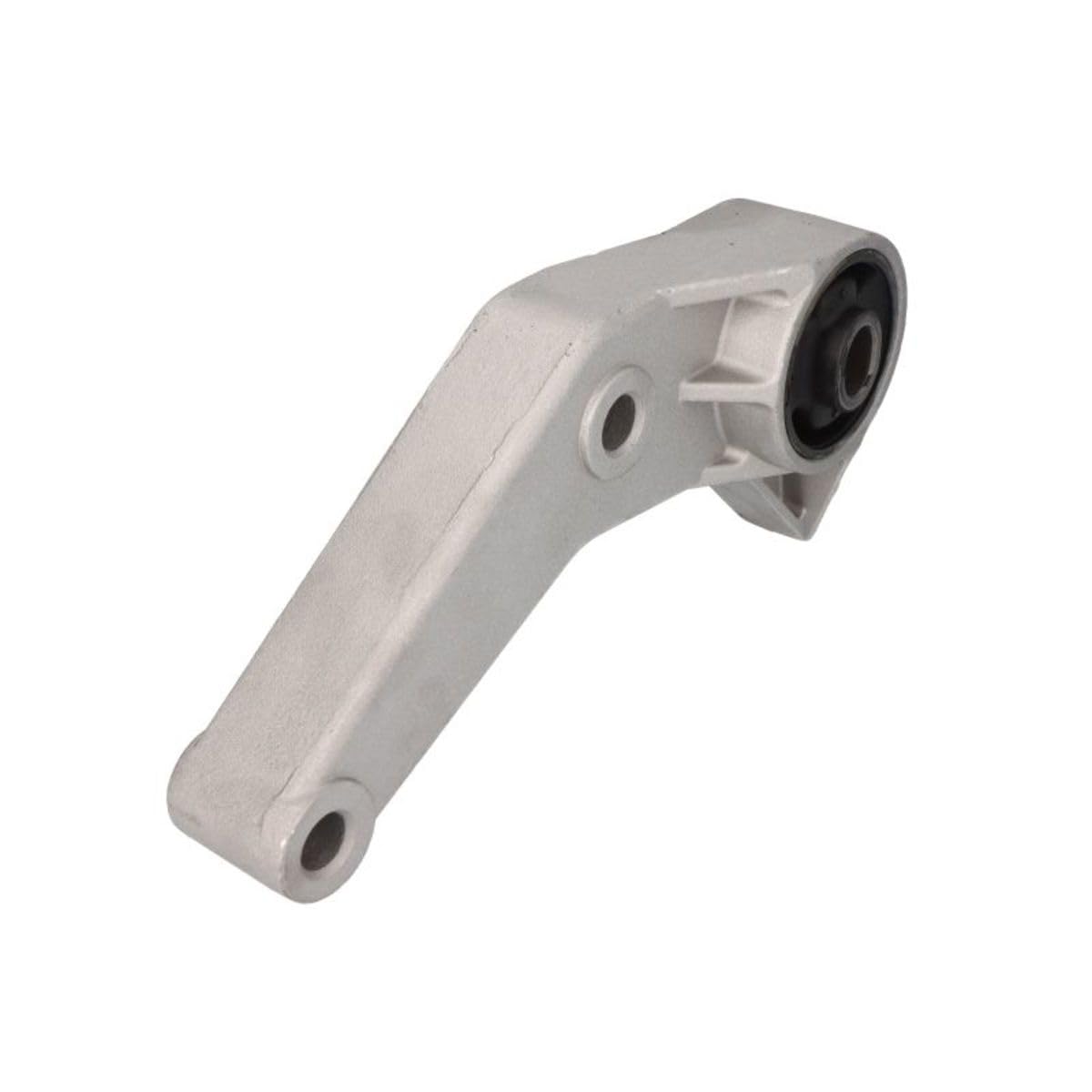 Delphi Lagerung Motor TEM055 Delphi Lagerung Motor TEM055 von Delphi