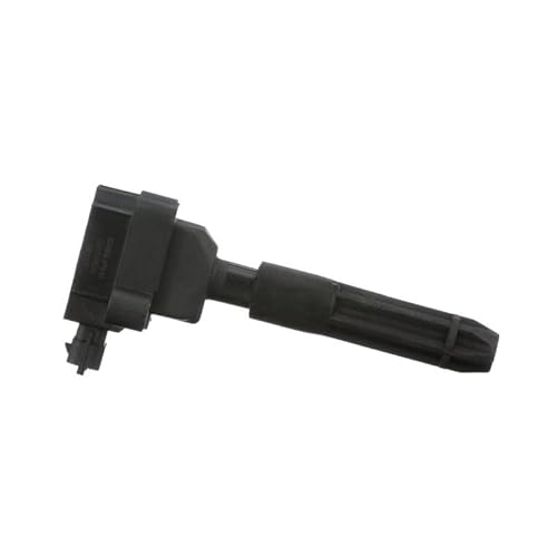 Delphi Zündspule Zündmodul Zündeinheit GN10604-12B1 Delphi Zündspule Zündmodul Zündeinheit GN10604-12B1 von Delphi