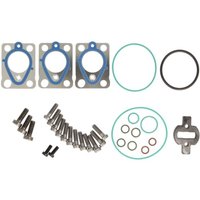 Element, Common-Rail Pumpe DELPHI DIESEL DEL7135-514 Element, Common-Rail Pumpe DELPHI DIESEL DEL7135-514 von Delphi