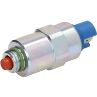 Element, Verteilerpumpe DELPHI DEL7185-900T Element, Verteilerpumpe DELPHI DEL7185-900T von Delphi