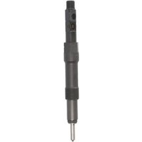Injektor, Common Rail DELPHI R01001D von Delphi