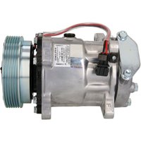Klimakompressor DELPHI CS20491 Klimakompressor DELPHI CS20491 von Delphi