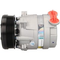 Klimakompressor DELPHI TSP0155009 Klimakompressor DELPHI TSP0155009 von Delphi