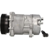 Klimakompressor DELPHI TSP0159060 Klimakompressor DELPHI TSP0159060 von Delphi