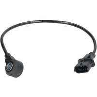 Klopfsensor DELPHI AS10180 Klopfsensor DELPHI AS10180 von Delphi