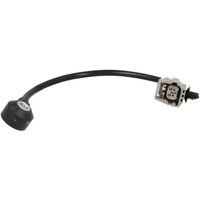 Klopfsensor DELPHI AS10200 Klopfsensor DELPHI AS10200 von Delphi