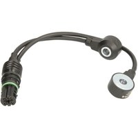 Klopfsensor DELPHI AS10241 Klopfsensor DELPHI AS10241 von Delphi