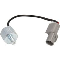 Klopfsensor DELPHI AS10252 Klopfsensor DELPHI AS10252 von Delphi