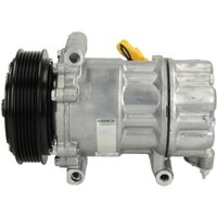 Kompressor, Klimaanlage DELPHI TSP0159488 Kompressor, Klimaanlage DELPHI TSP0159488 von Delphi