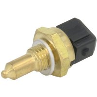 Kühlmitteltemperatursensor DELPHI TS10270 Kühlmitteltemperatursensor DELPHI TS10270 von Delphi