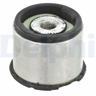 Delphi Lagerung, Achskörper [Hersteller-Nr. TD1095W] für Audi, Seat von Delphi