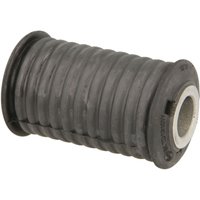 Lagerung, Blattfeder DELPHI TD1210W von Delphi