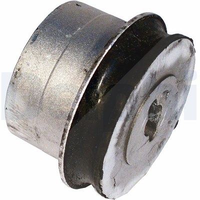 Delphi Lagerung, Lenker [Hersteller-Nr. TD527W] für Opel, Saab, Vauxhall von Delphi